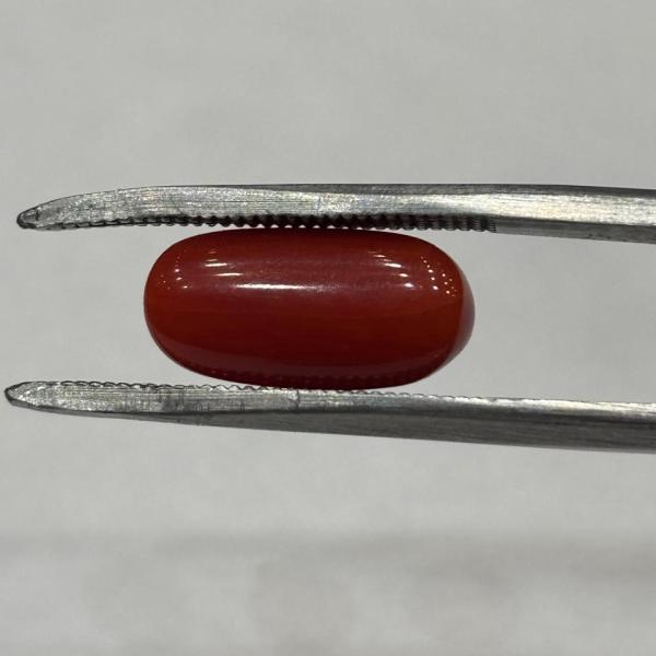 Coral 5.32 Carat