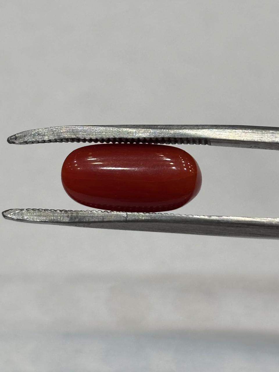 Coral 5.32 Carat
