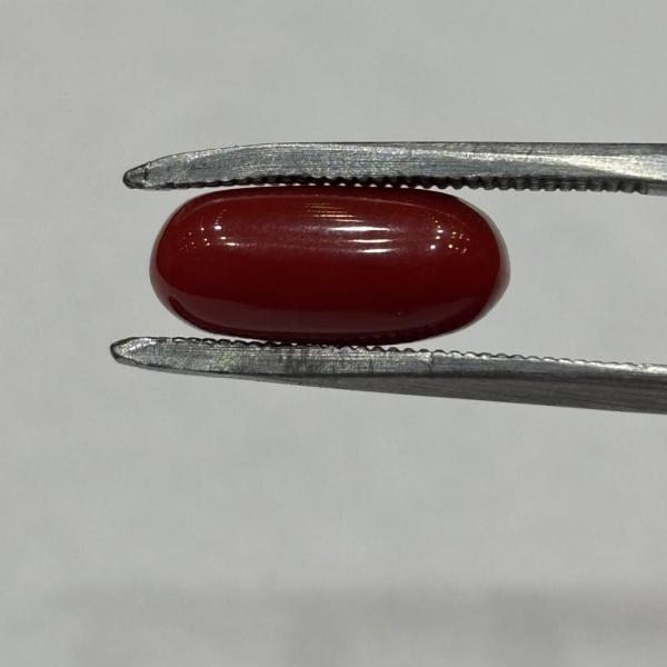 Coral 5.06 Carat