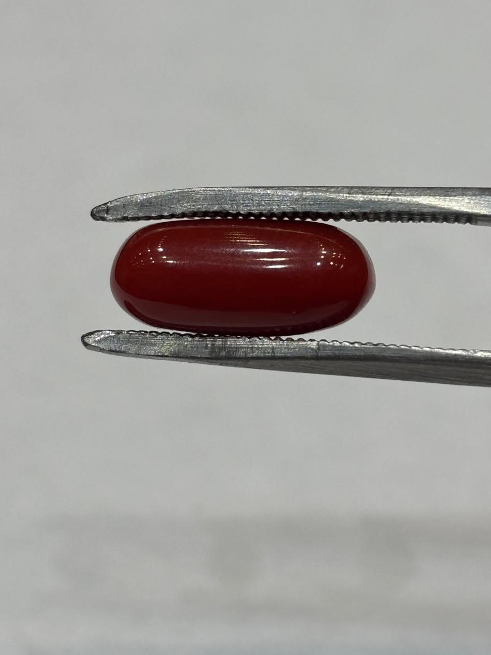 Coral 5.06 Carat