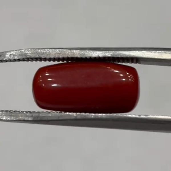 Coral 7.64 Carat