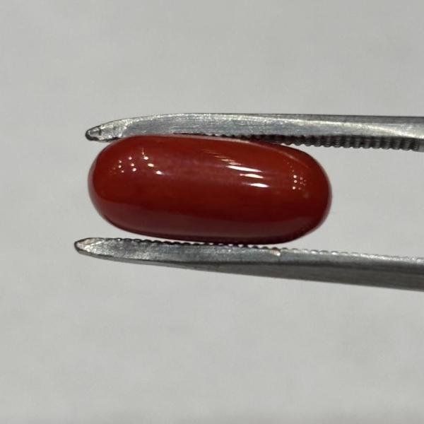 Coral 5.59 Carat