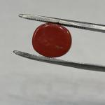 Coral 6.75 Carat