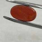 Coral 6.95 Carat