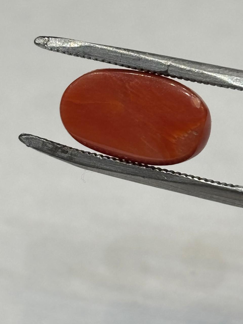 Coral 6.95 Carat