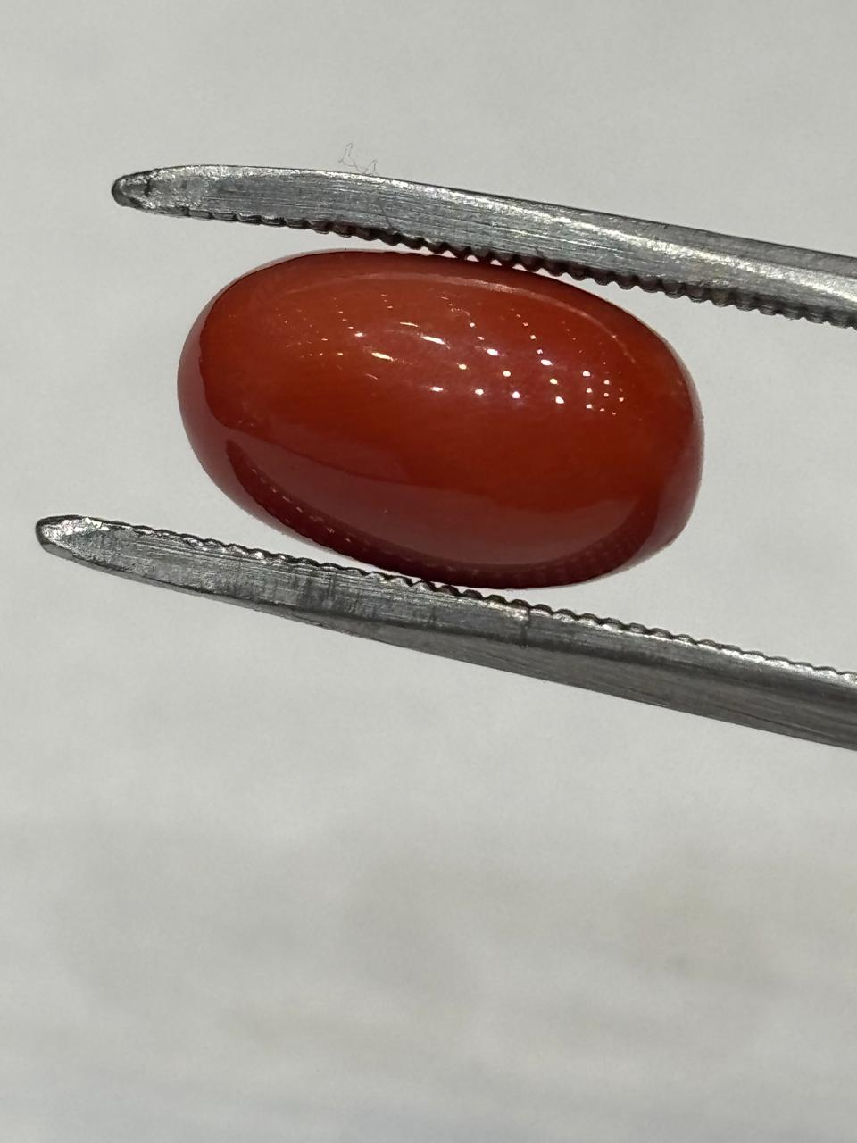 Coral 6.95 Carat
