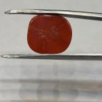 Coral 13.10 Carat