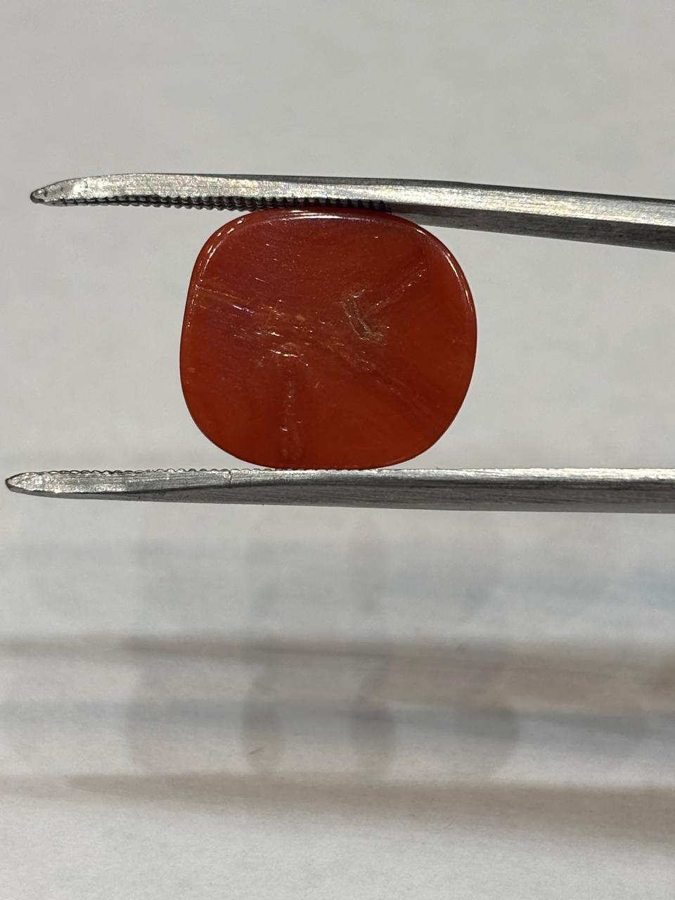 Coral 13.10 Carat