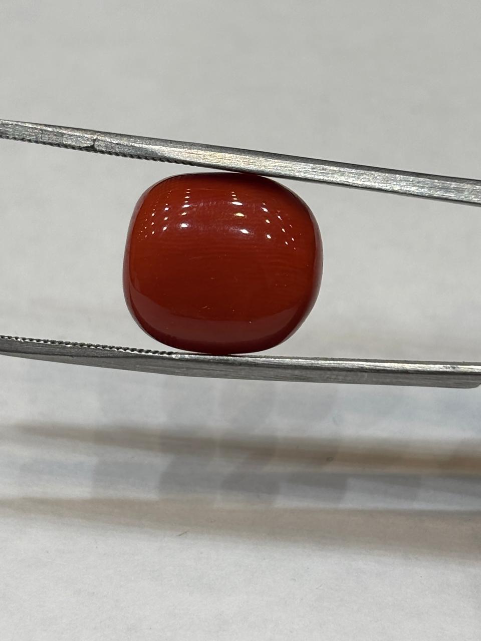 Coral 13.10 Carat