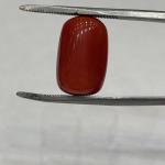 Coral 8.80 Carat