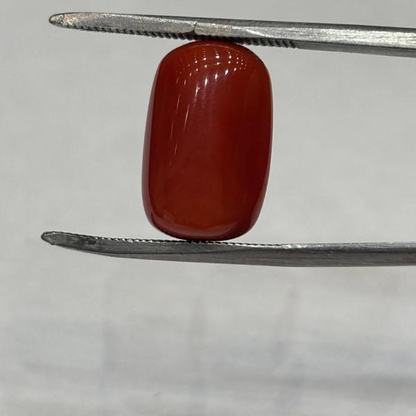 Coral 8.80 Carat